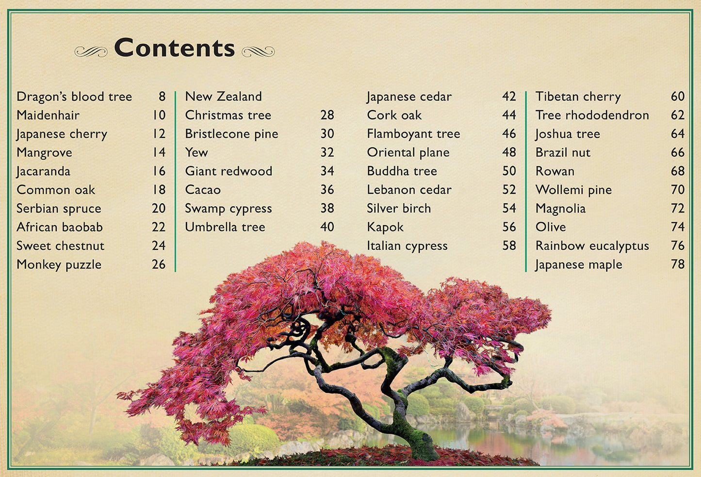 The Magnificent Book of Trees Hardcover Book