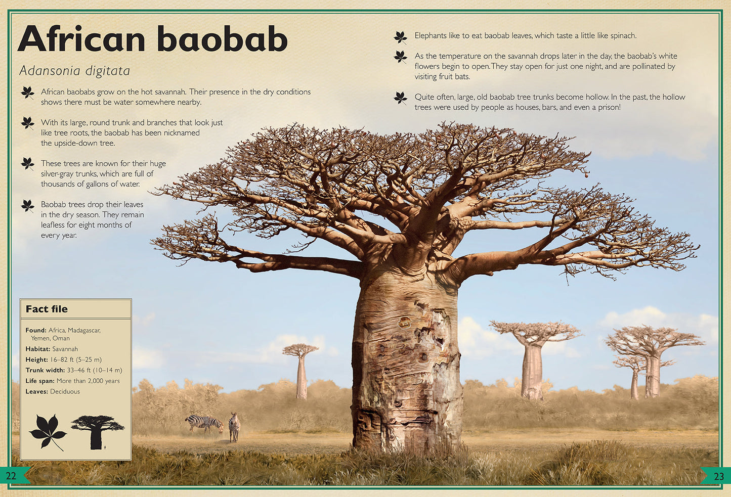The Magnificent Book of Trees Hardcover Book