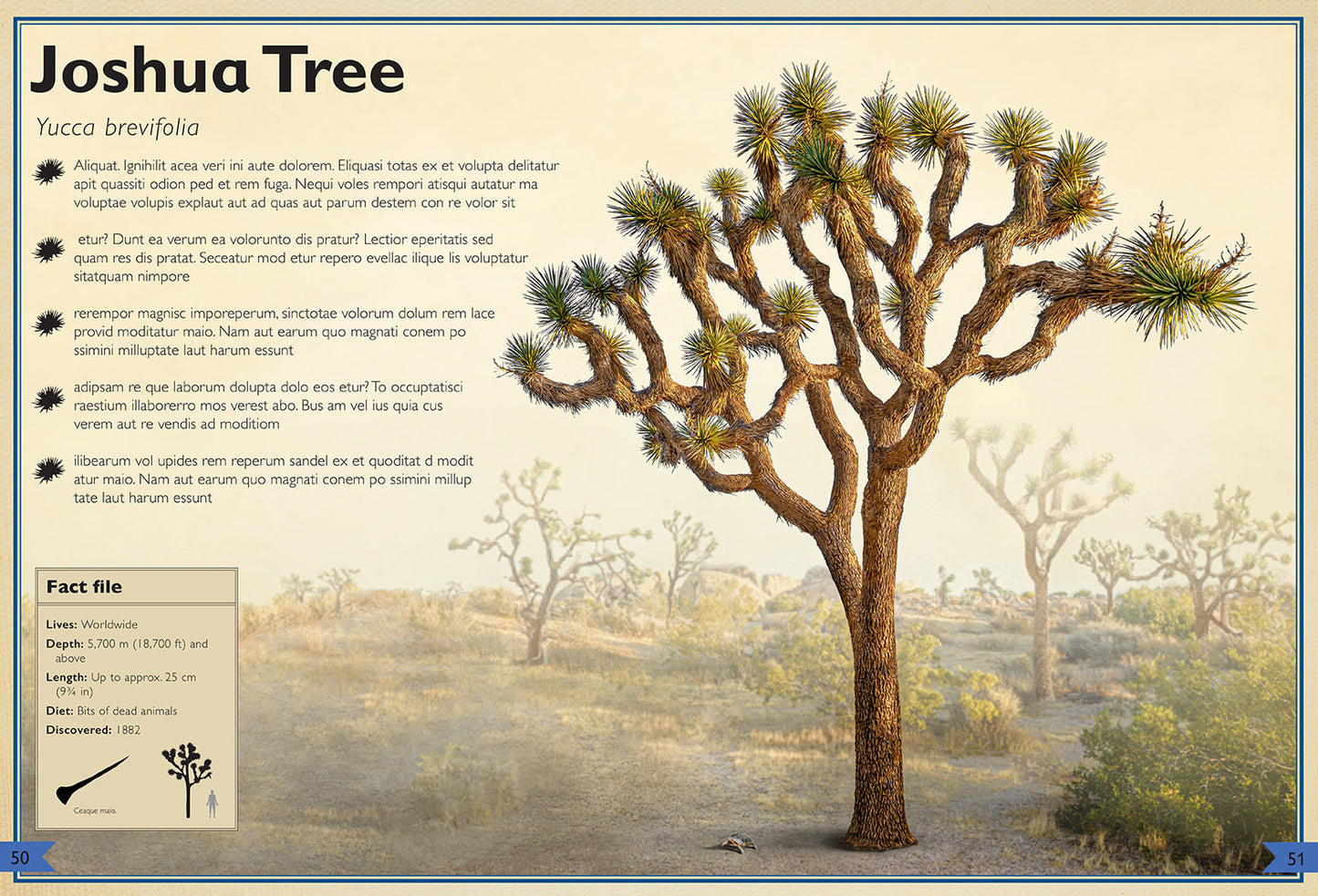 The Magnificent Book of Trees Hardcover Book