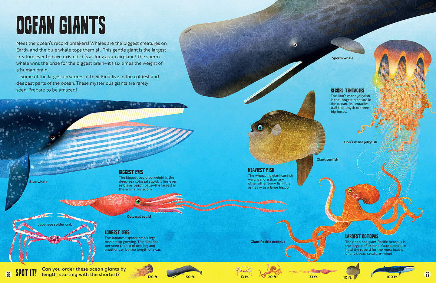 My First Oceans Atlas Hardcover Book