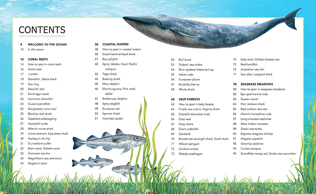 Ocean Creatures Hardcover Book