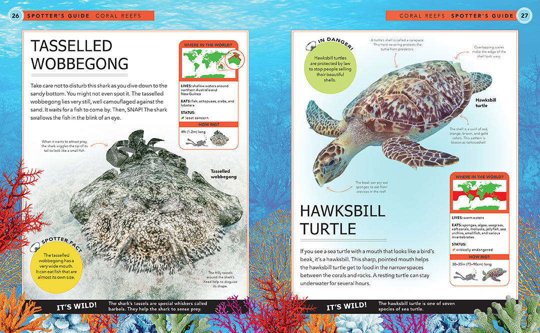 Ocean Creatures Hardcover Book