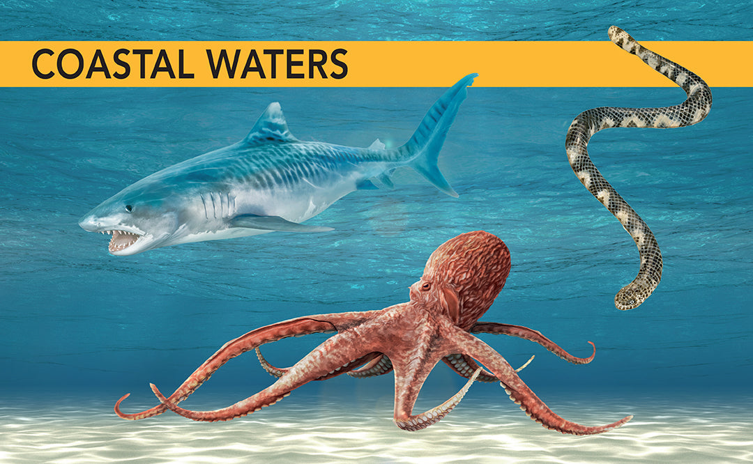 Ocean Creatures Hardcover Book