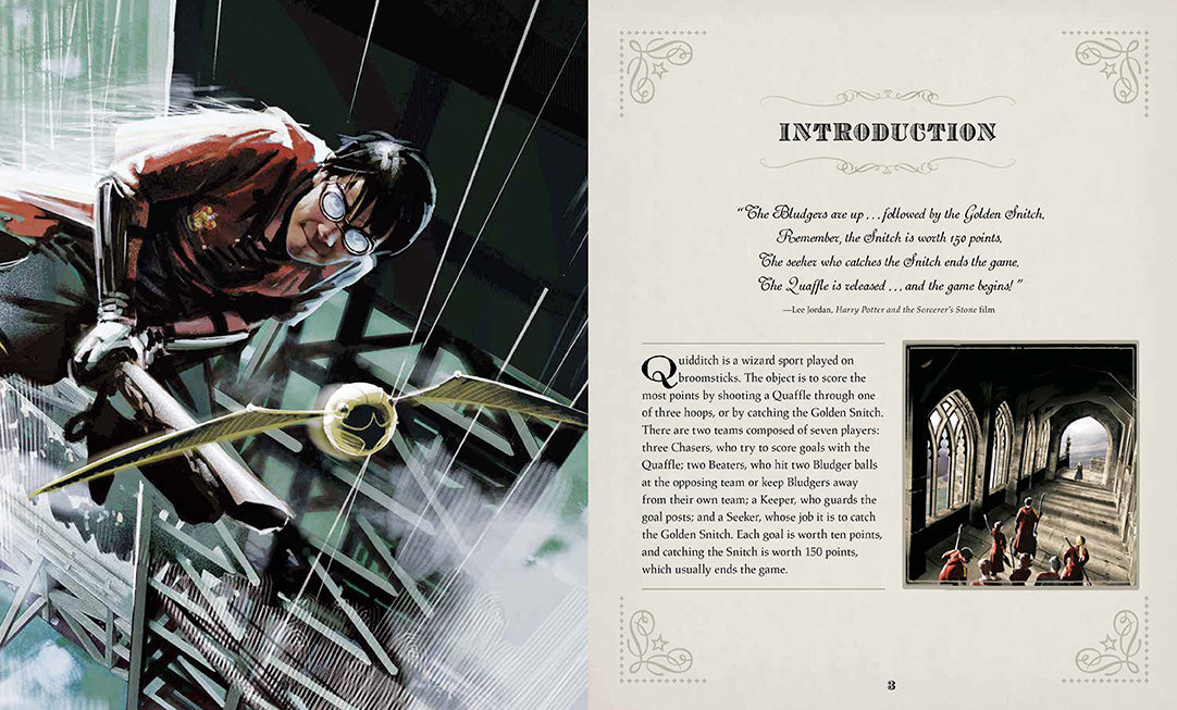 IncrediBuilds: Harry Potter: Golden Snitch 3D Wood Model and Book