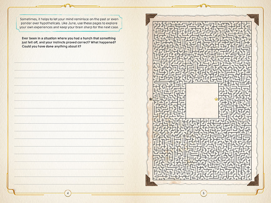 June's Journey: The Interactive Detective's Diary Hardcover Book
