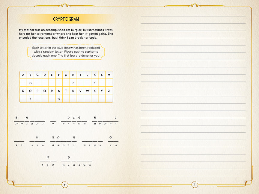 June's Journey: The Interactive Detective's Diary Hardcover Book