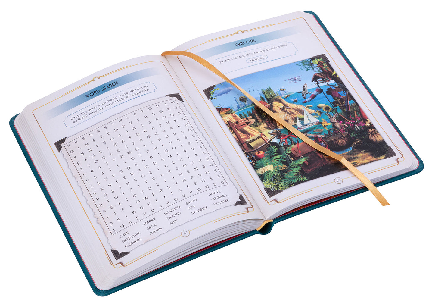 June's Journey: The Interactive Detective's Diary Hardcover Book