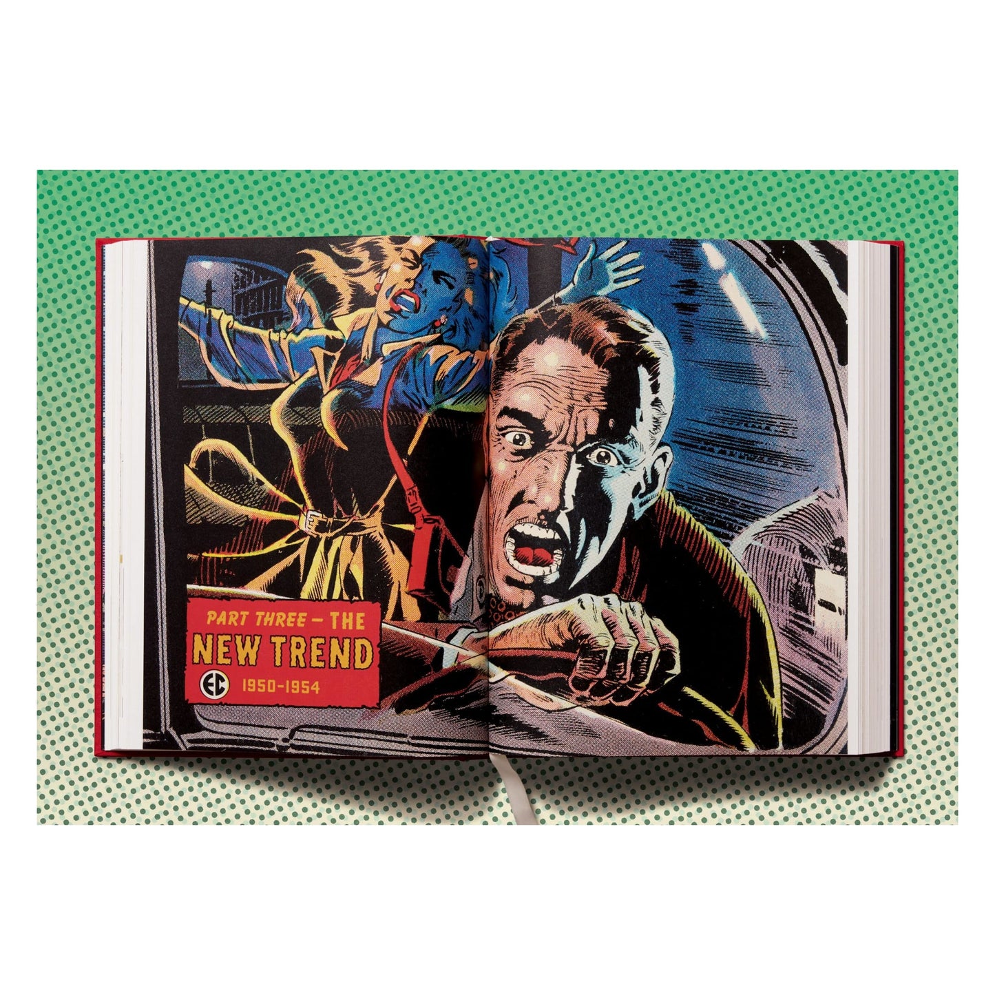 The History of EC Comics (English) Book