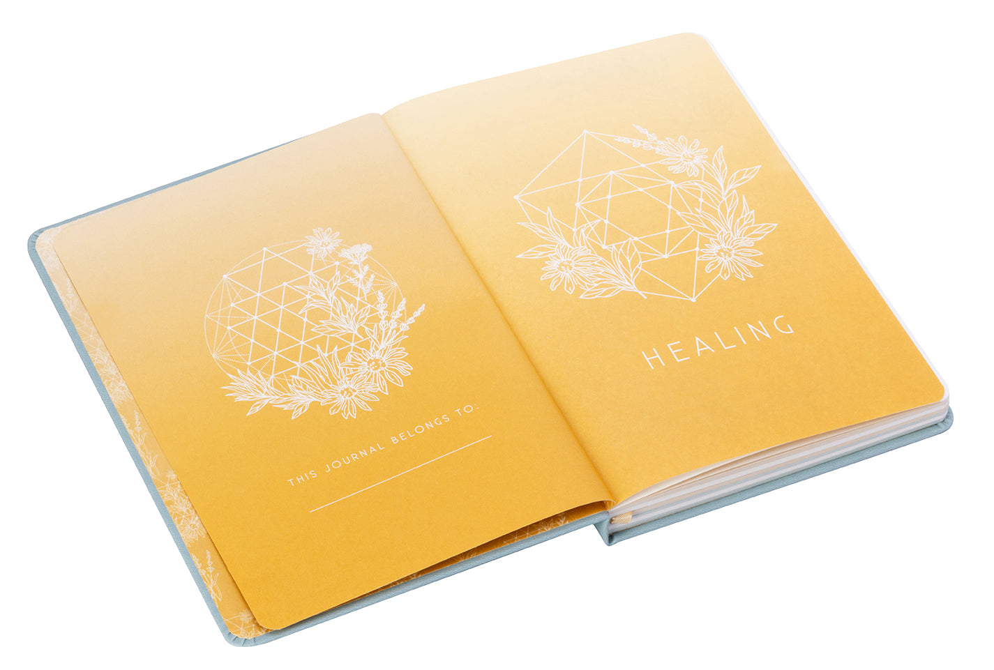 Healing Softcover Book
