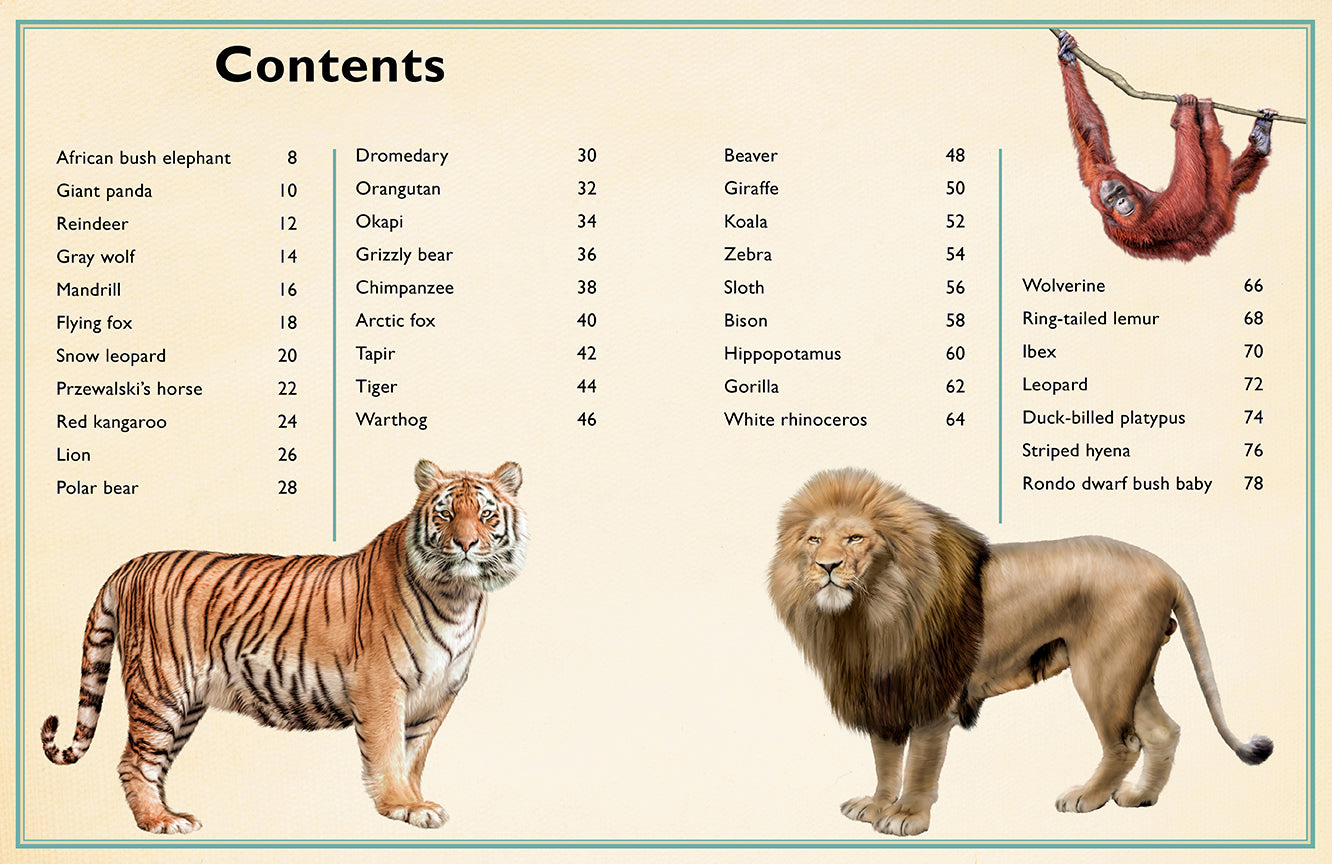 The Magnificent Book of Animals Hardcover Book