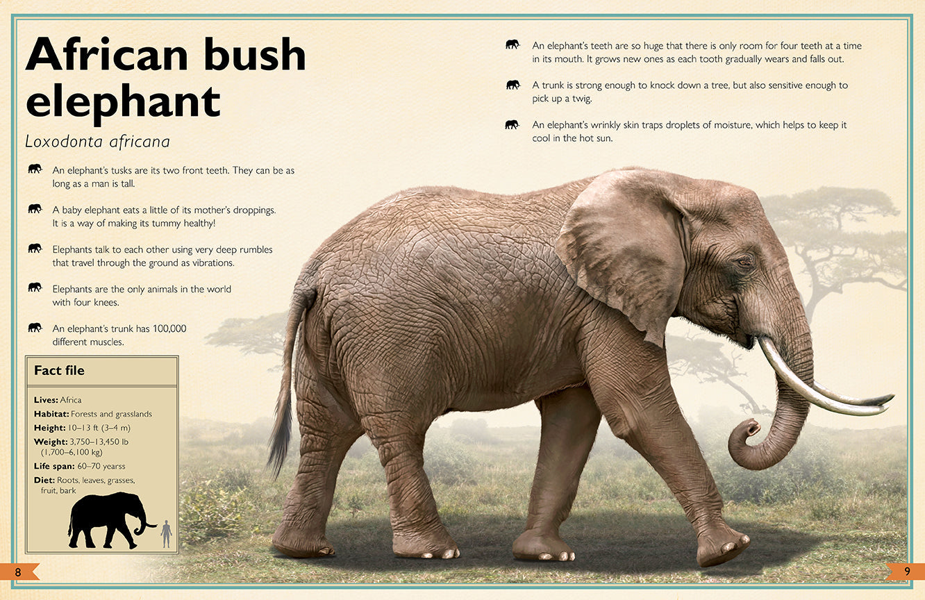 The Magnificent Book of Animals Hardcover Book