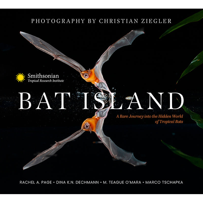 Bat Island Hardcover Book