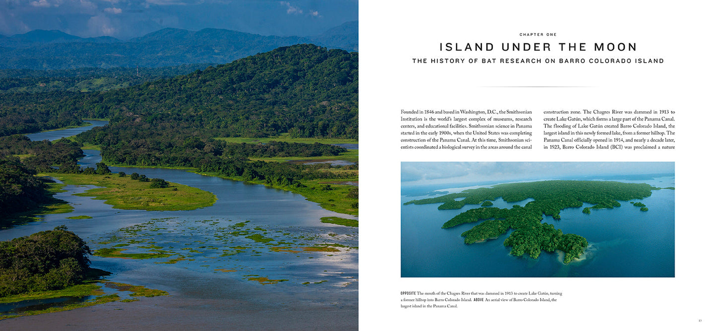 Bat Island Hardcover Book