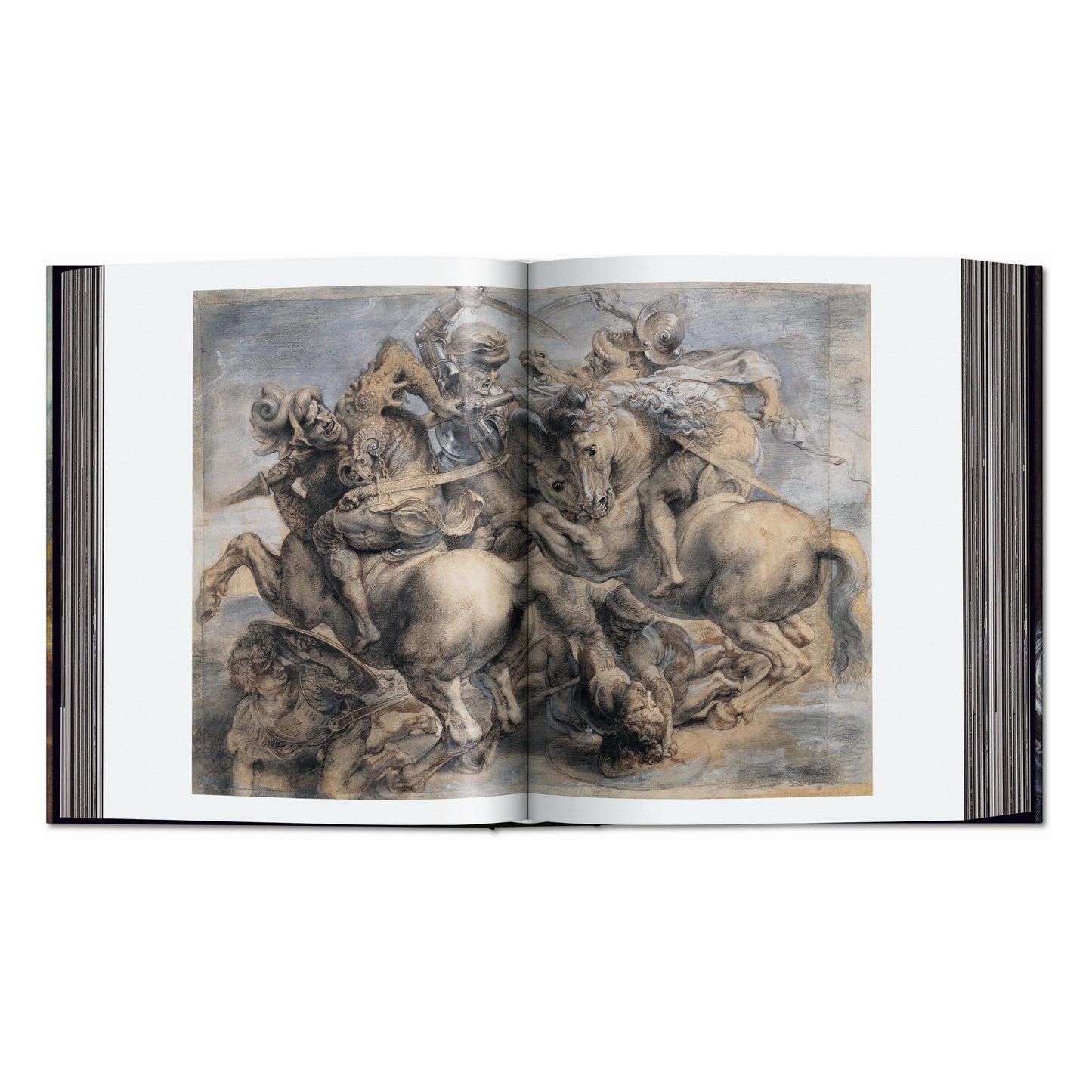 Leonardo. The Complete Paintings and Drawings (English) Book
