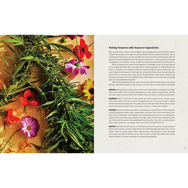High Times: Cannabis Cocktails Hardcover Book