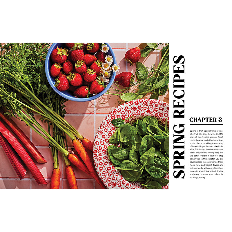 High Times: Cannabis Cocktails Hardcover Book