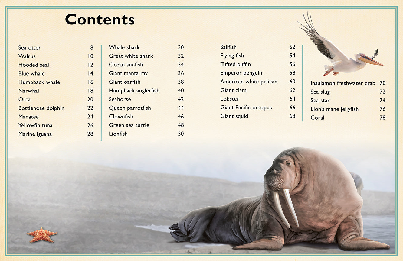 The Magnificent Book of Ocean Creatures Hardcover Book