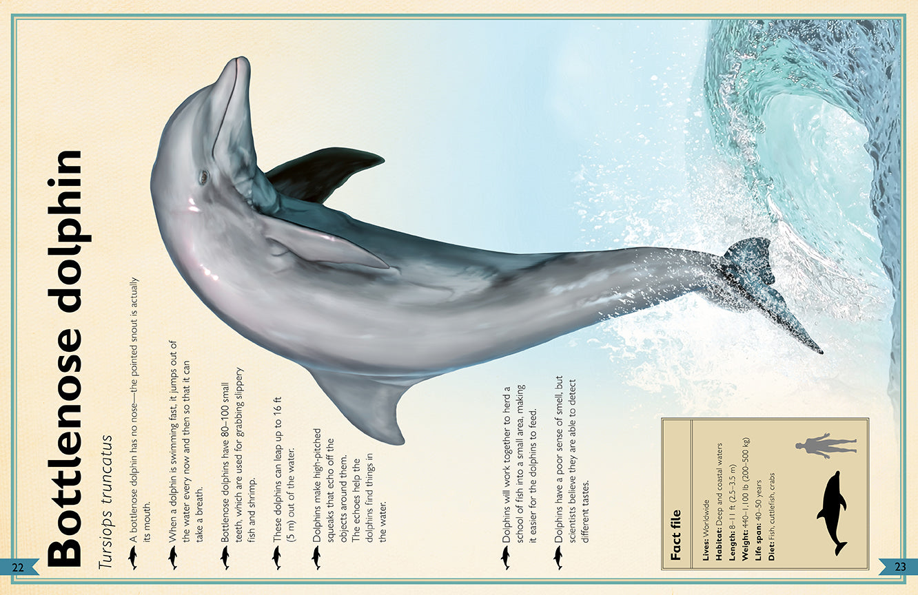 The Magnificent Book of Ocean Creatures Hardcover Book
