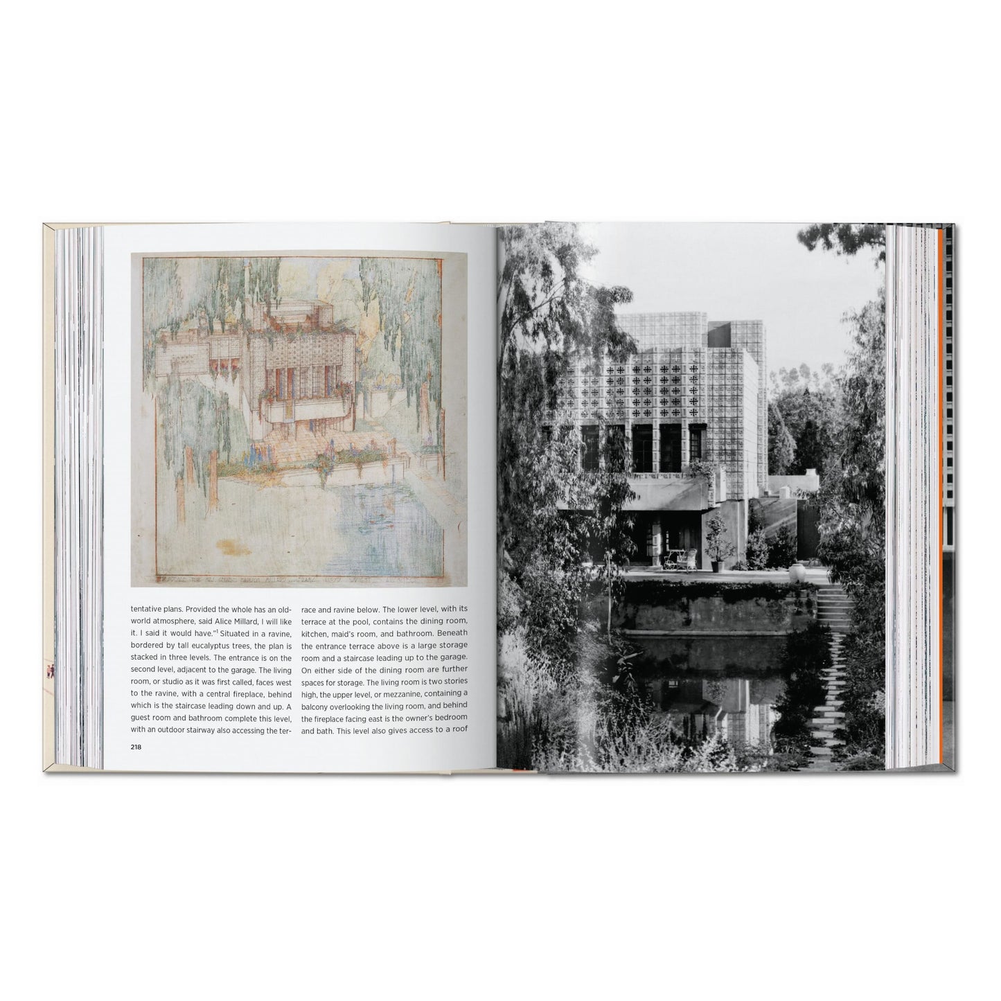 Frank Lloyd Wright. 45th Ed. (English) Book