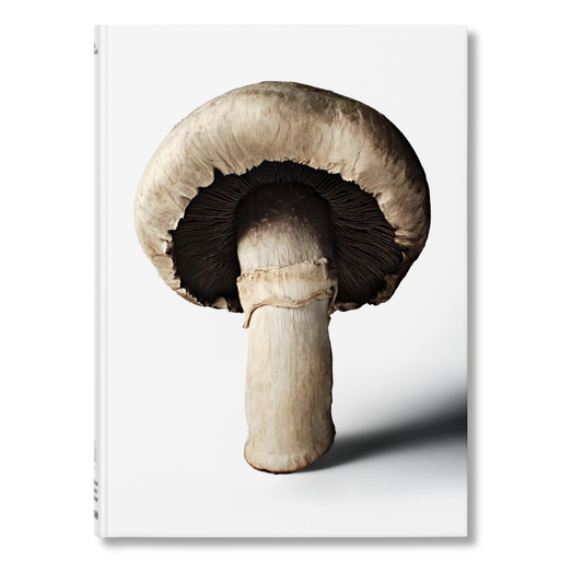 The Gourmand's Mushroom. A Collection of Stories and Recipes (English) Book