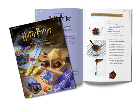 Harry Potter: Make Your Own Chocolate Frogs Hardcover Book