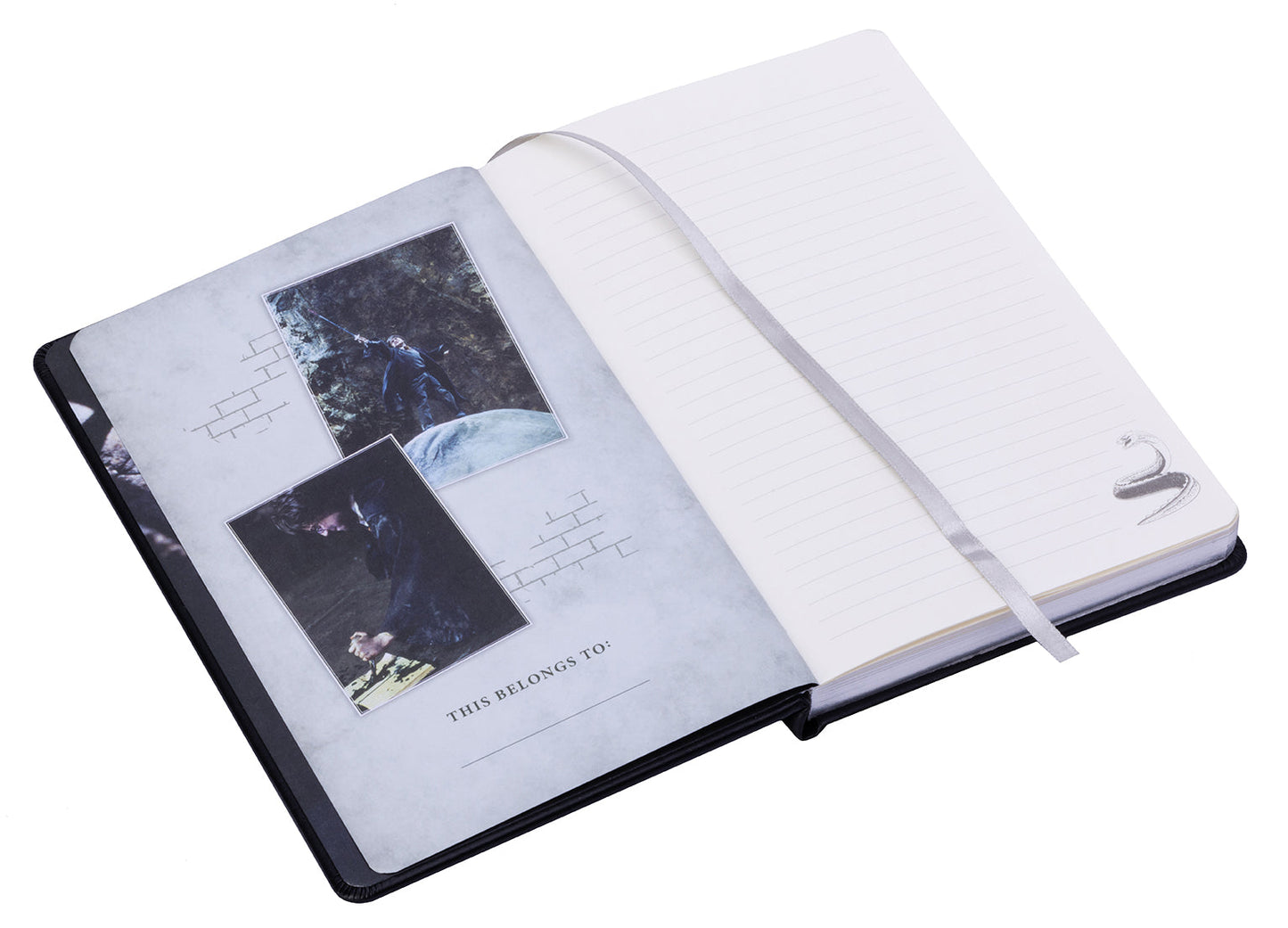 Harry Potter: Chamber of Secrets Hardcover Journal Hardcover Book