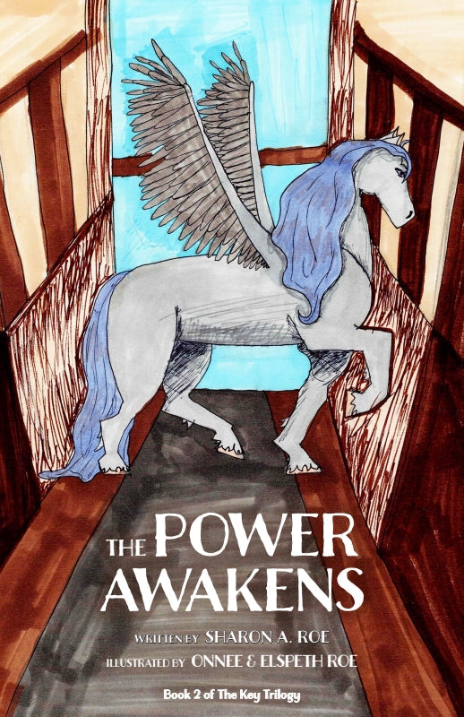 THE POWER AWAKENS: Book 2 of the Key Trilogy Book