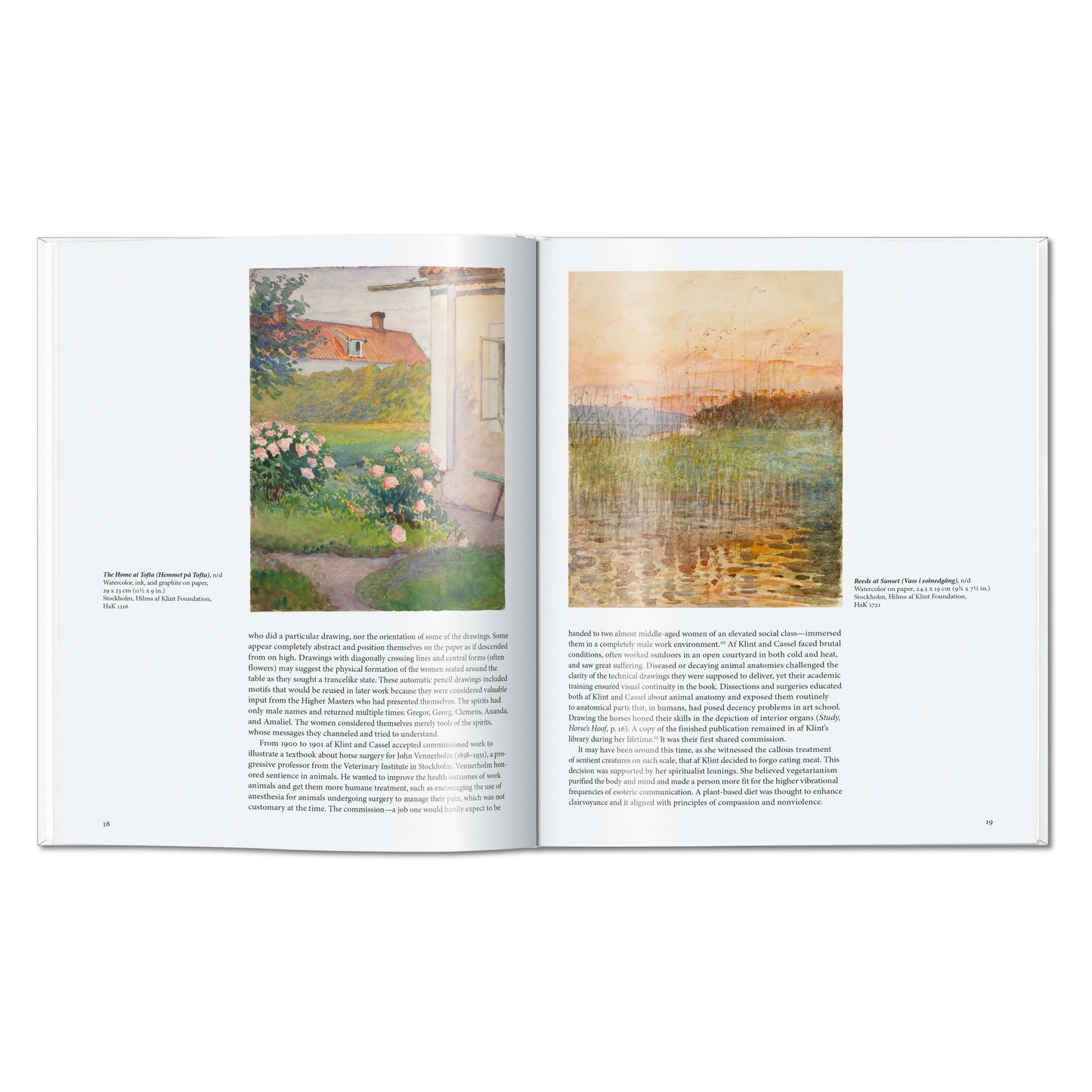 Hilma af Klint (English) Book