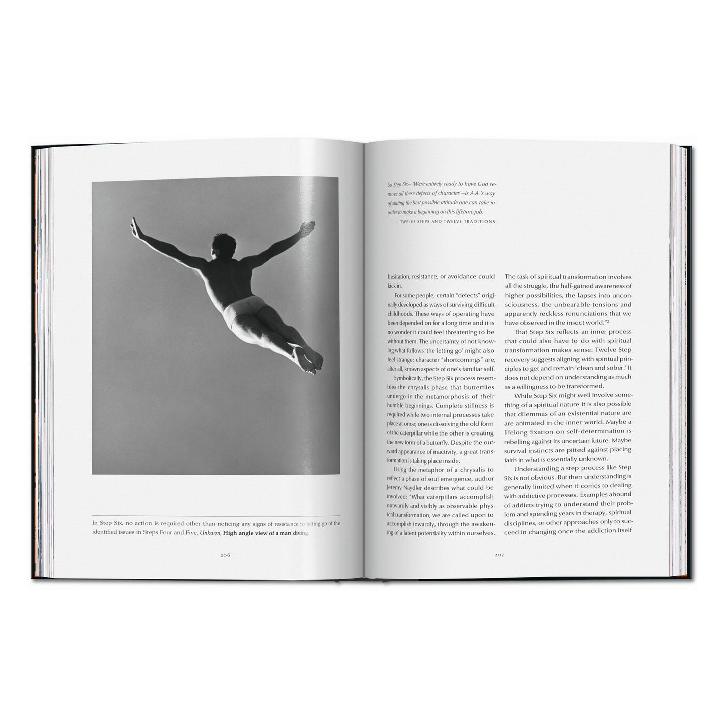 The 12 Steps. Symbols, Myths, and Archetypes of Recovery (English) Book