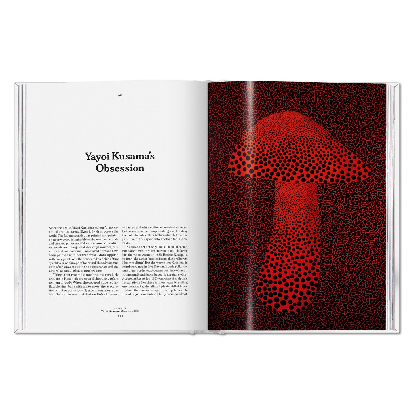 The Gourmand's Mushroom. A Collection of Stories and Recipes (English) Book