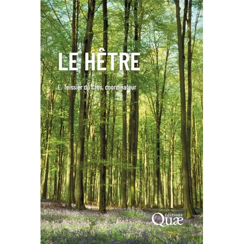 Le hêtre