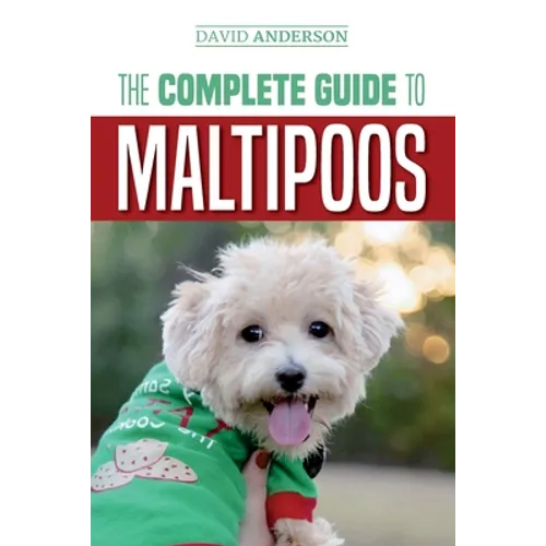 The Complete Guide to Maltipoos: Everything you need to know before getting your Maltipoo dog