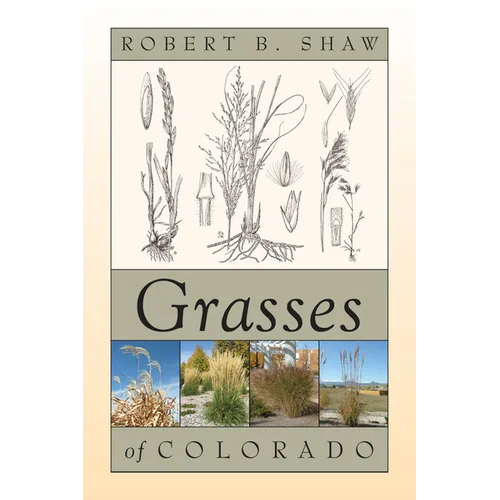 Grasses of Colorado