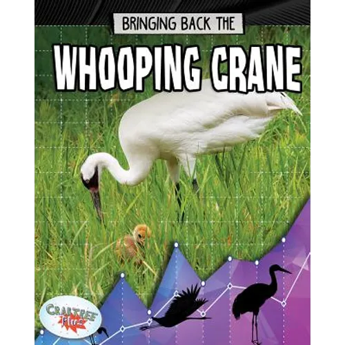 Bringing Back the Whooping Crane
