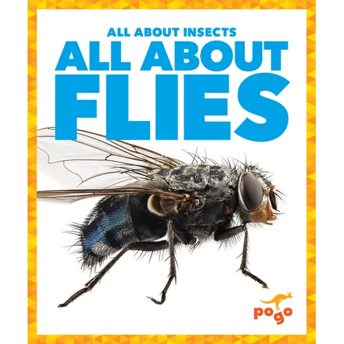 All about Flies