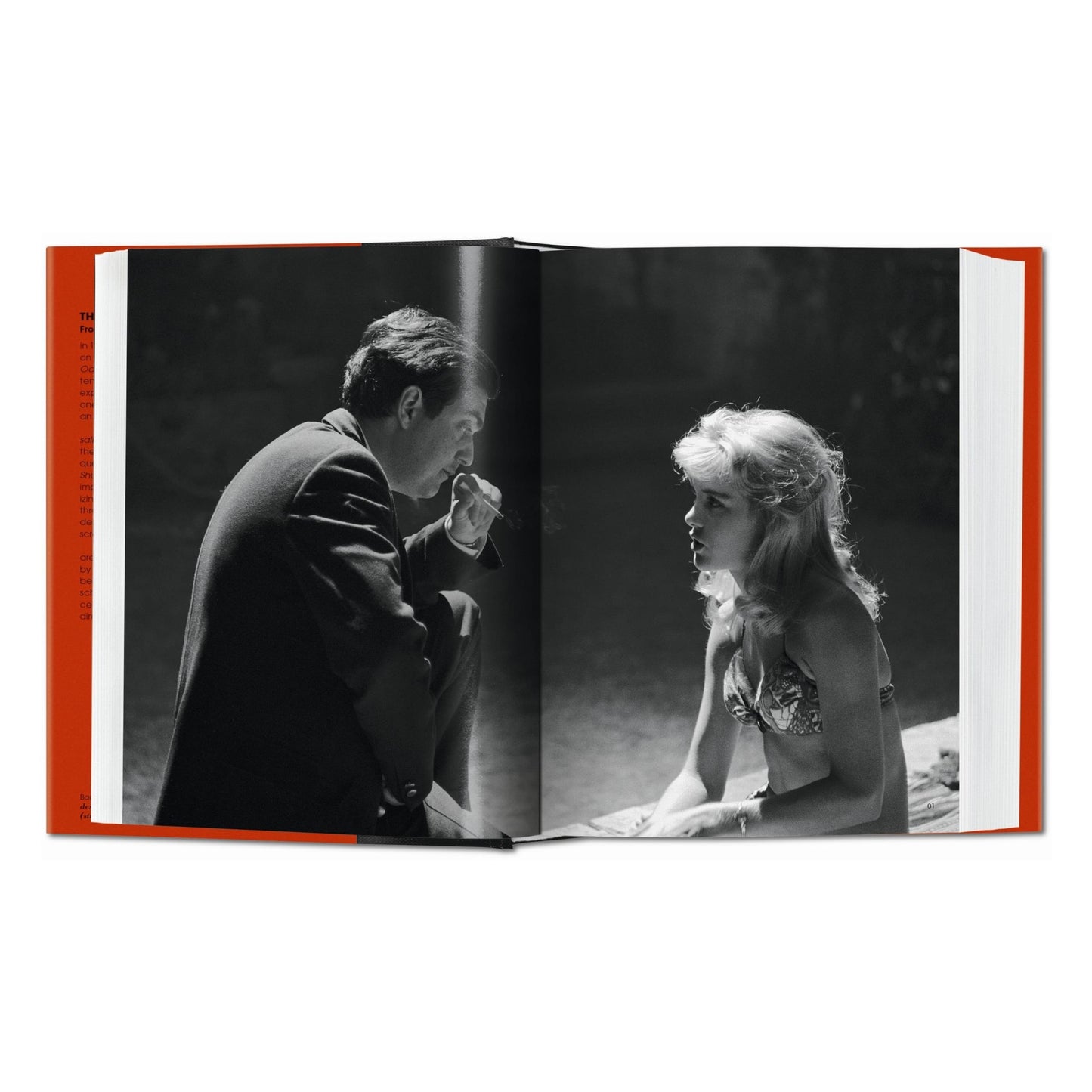 The Stanley Kubrick Archives (English) Book