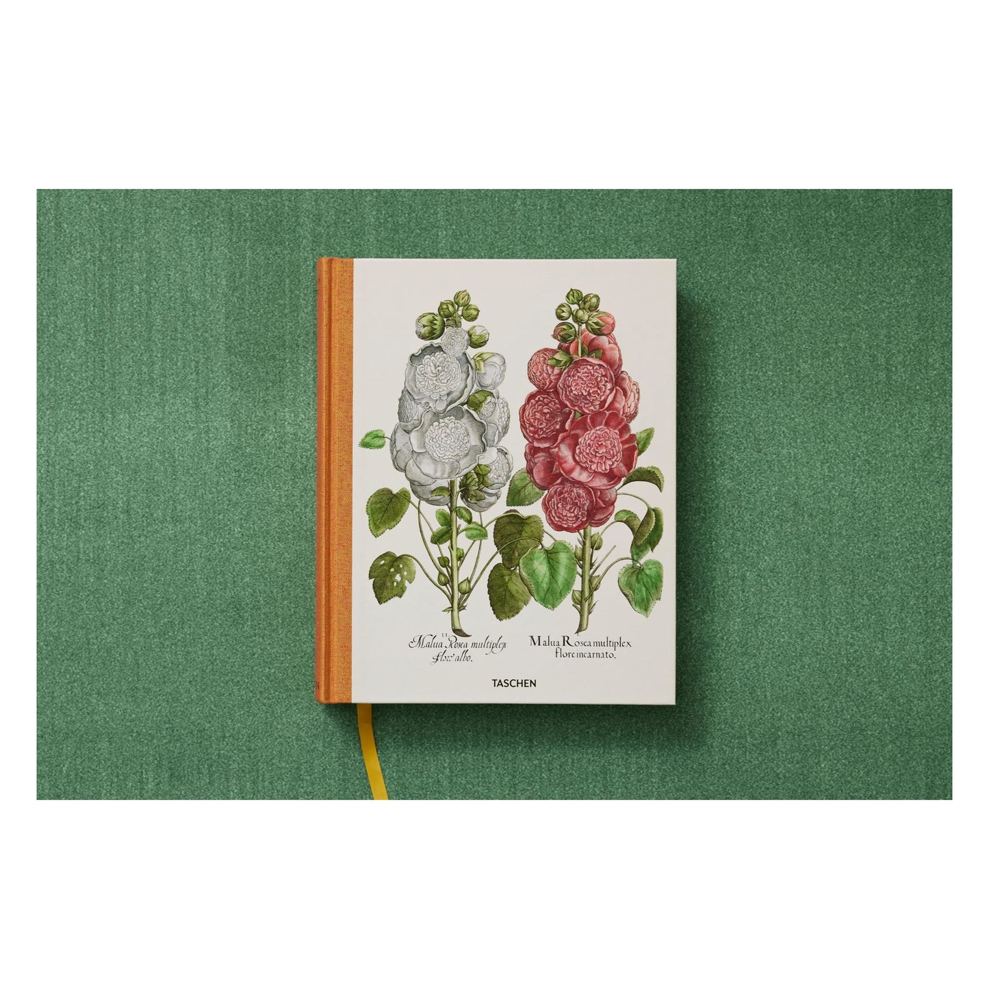 Basilius Besler. The Garden at Eichstätt (German, French, English) (FFE) Book