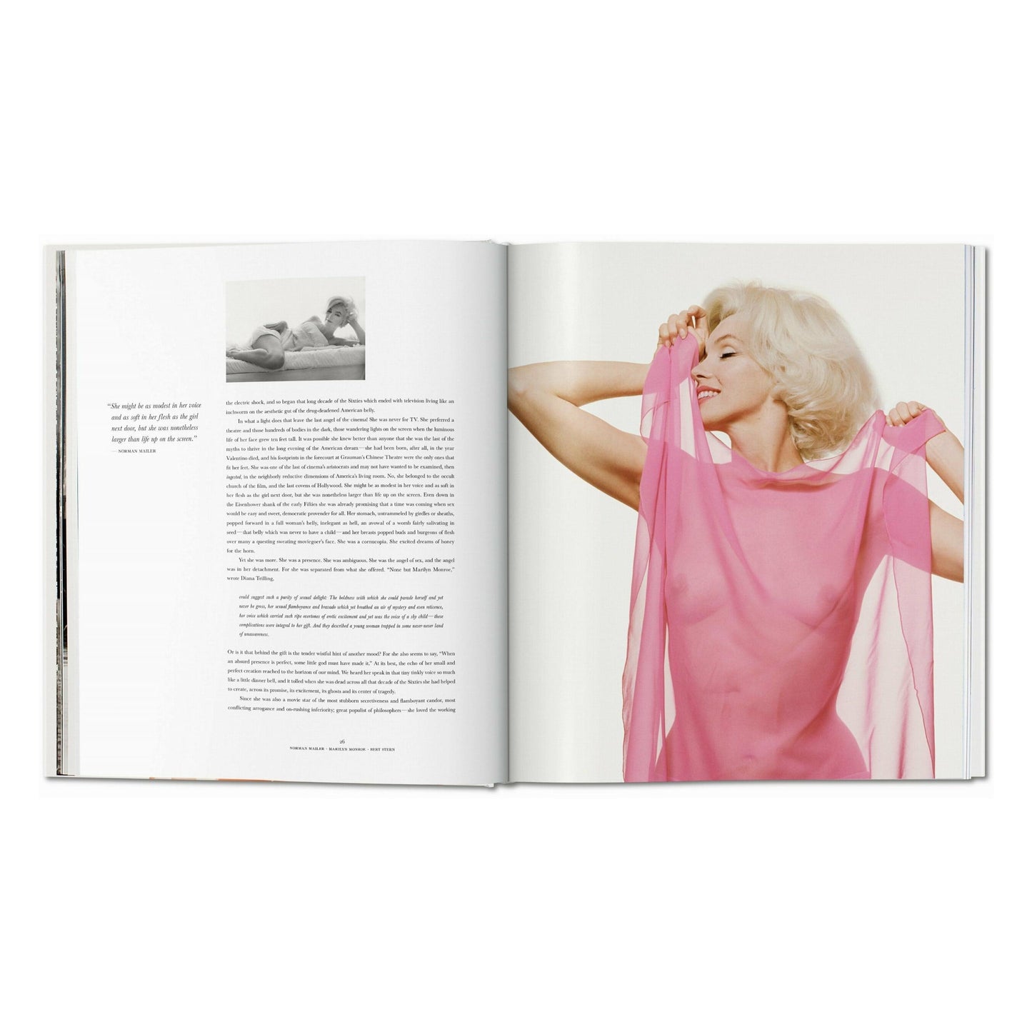 Norman Mailer. Bert Stern. Marilyn Monroe (English) Book