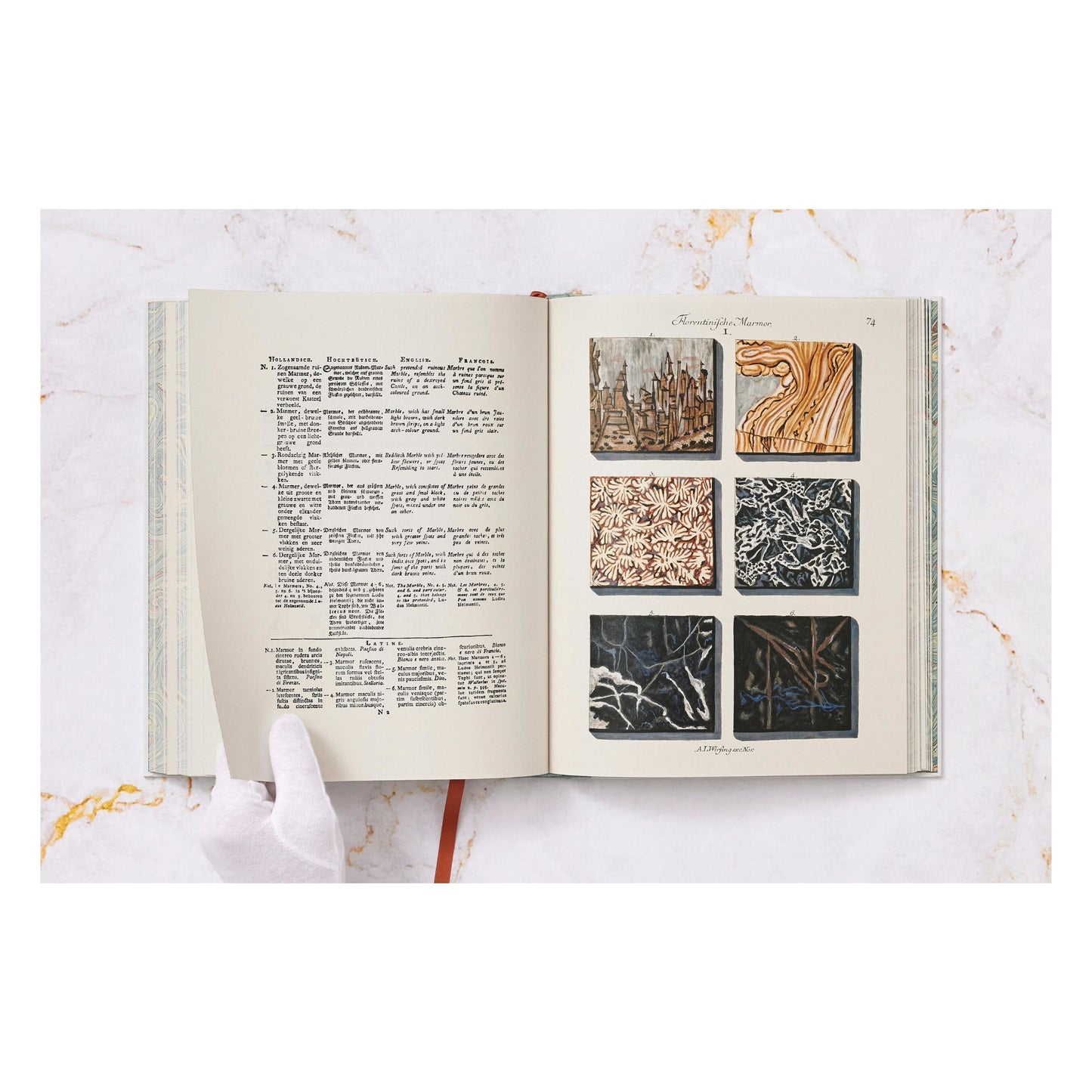 Jan Christiaan Sepp. The Book of Marble (German, French, English) (FFE) Book