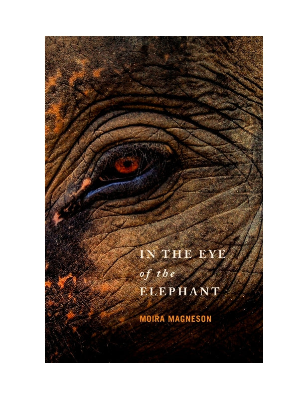 In the Eye of the Elephant Book