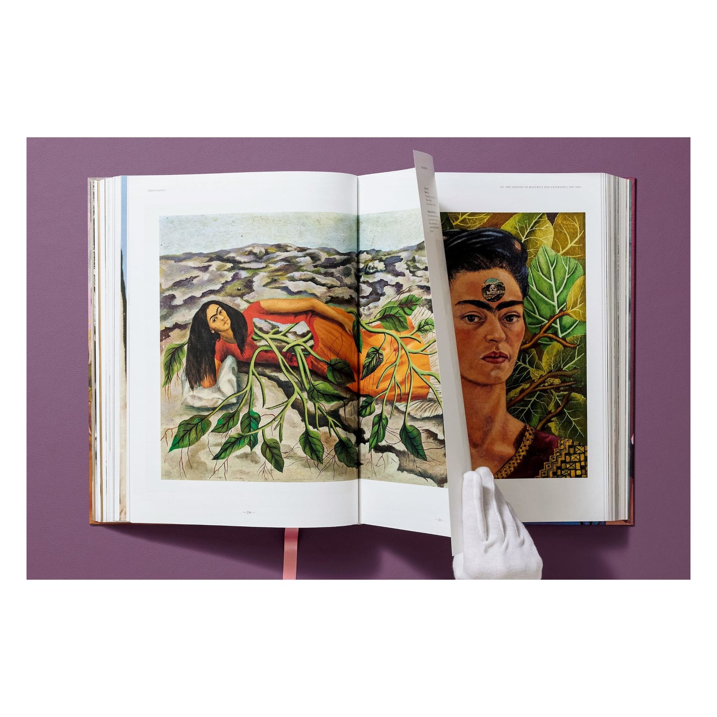 Frida Kahlo. The Complete Paintings (English) Book