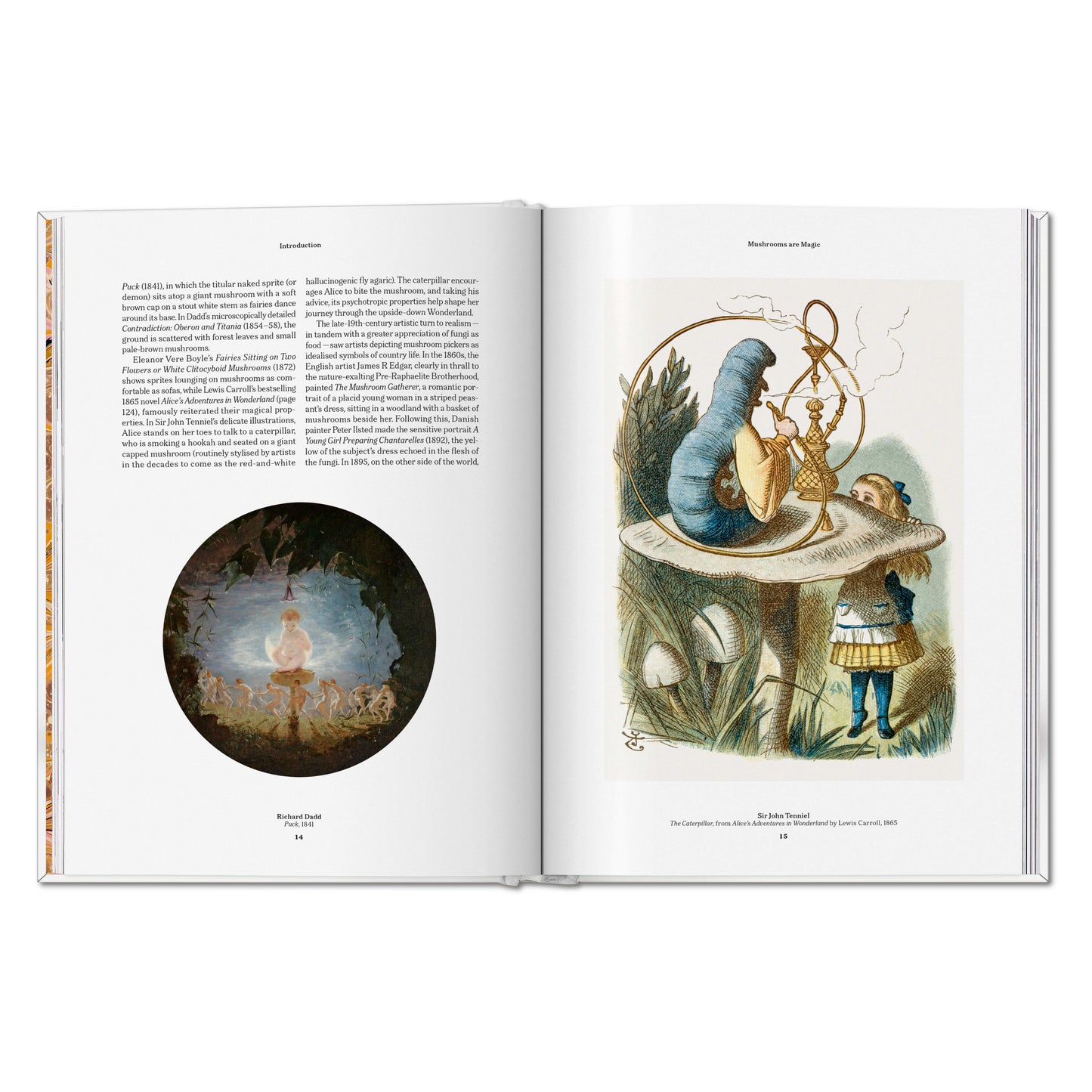 The Gourmand's Mushroom. A Collection of Stories and Recipes (English) Book