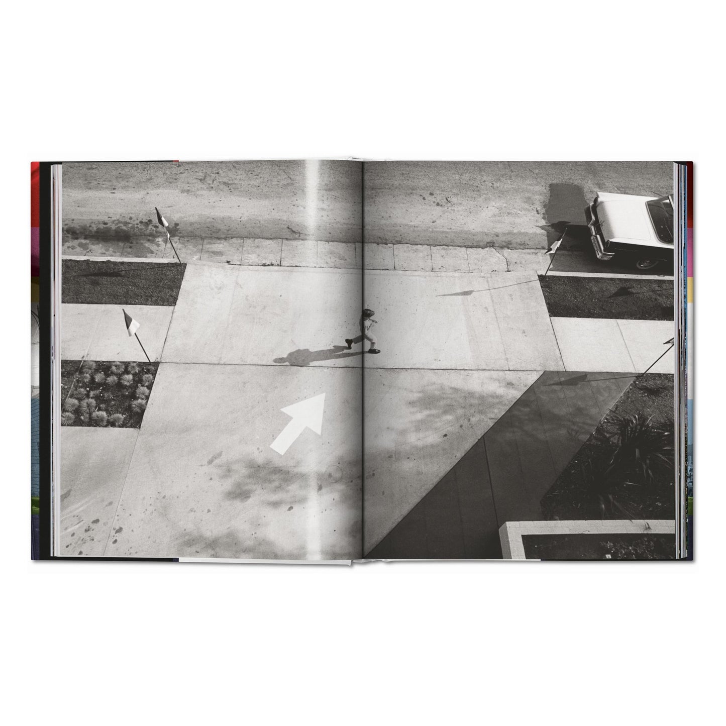 Dennis Hopper. Photographs 1961–1967 (German, French, English) Book