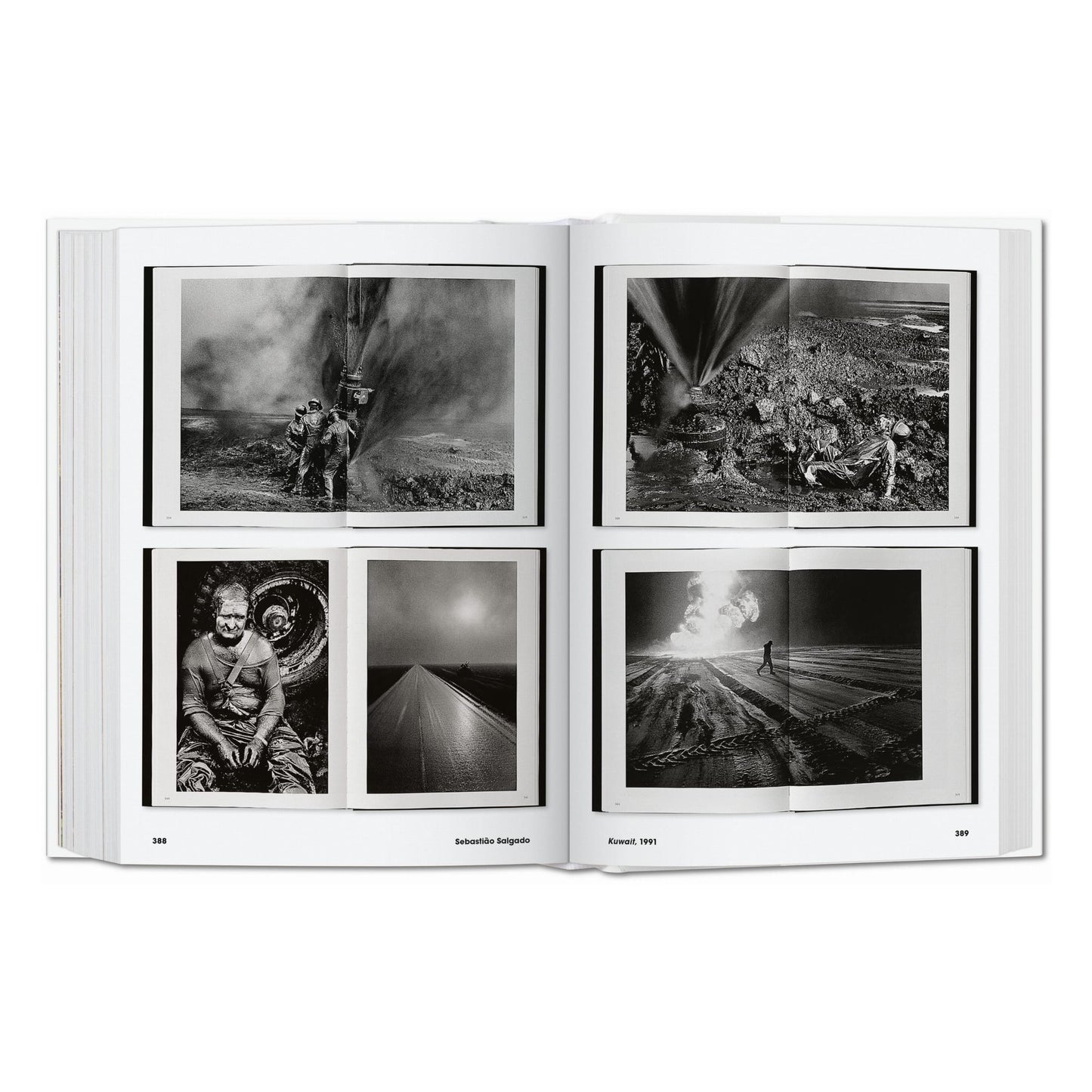 Photo Icons. 50 Landmark Photographs and Their Stories (English) Book
