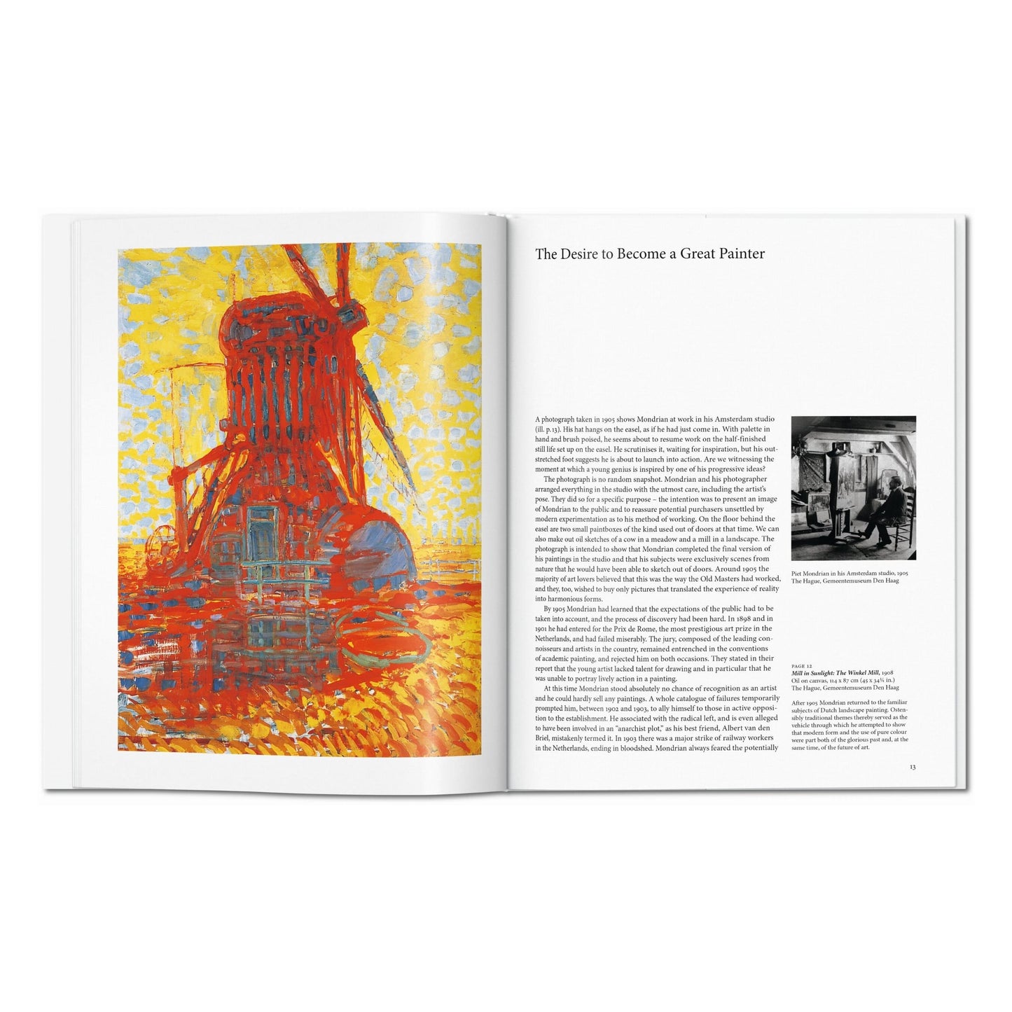 Mondrian (English) Book