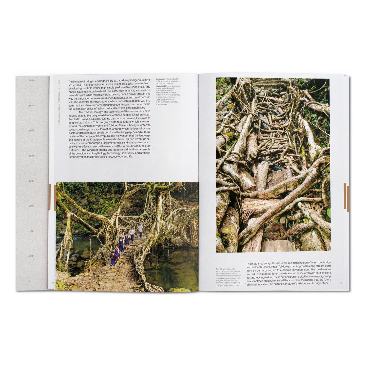 Julia Watson. Lo—TEK. Design by Radical Indigenism (English) Book