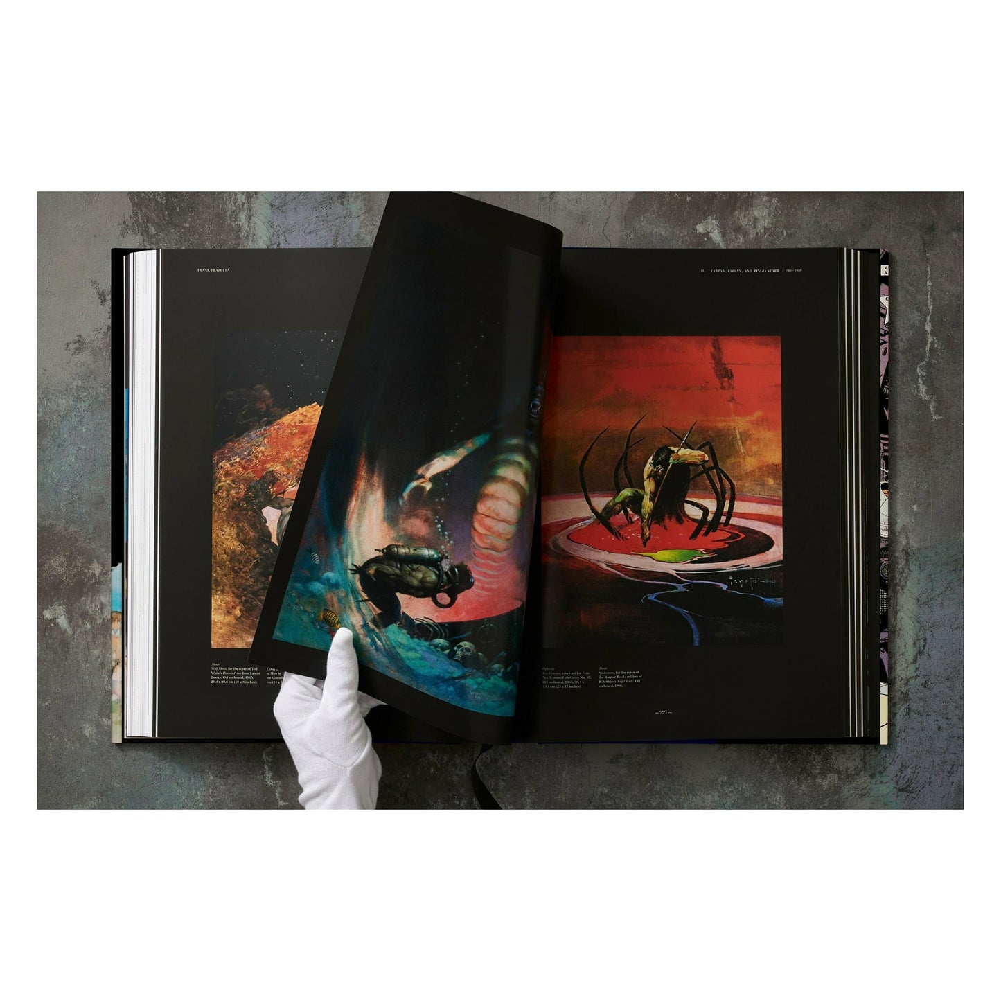 The Fantastic Worlds of Frank Frazetta (German, French, English) Book