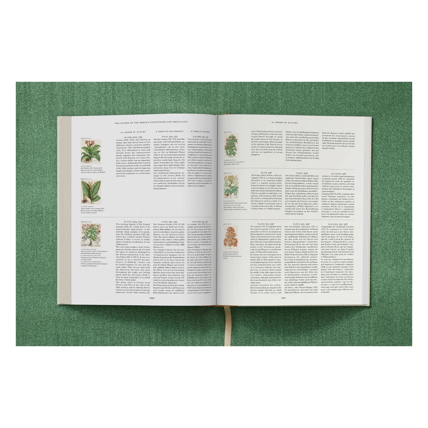 Basilius Besler. The Garden at Eichstätt (German, French, English) (FFE) Book
