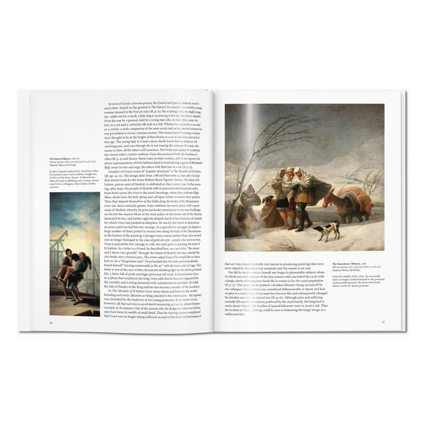 Goya (English) Book