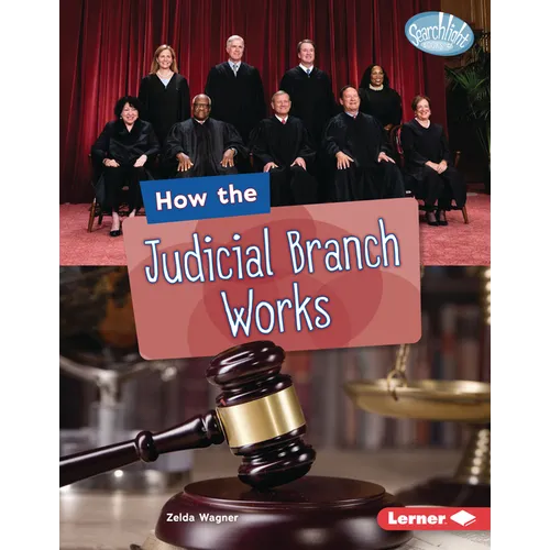 How the Judicial Branch Works